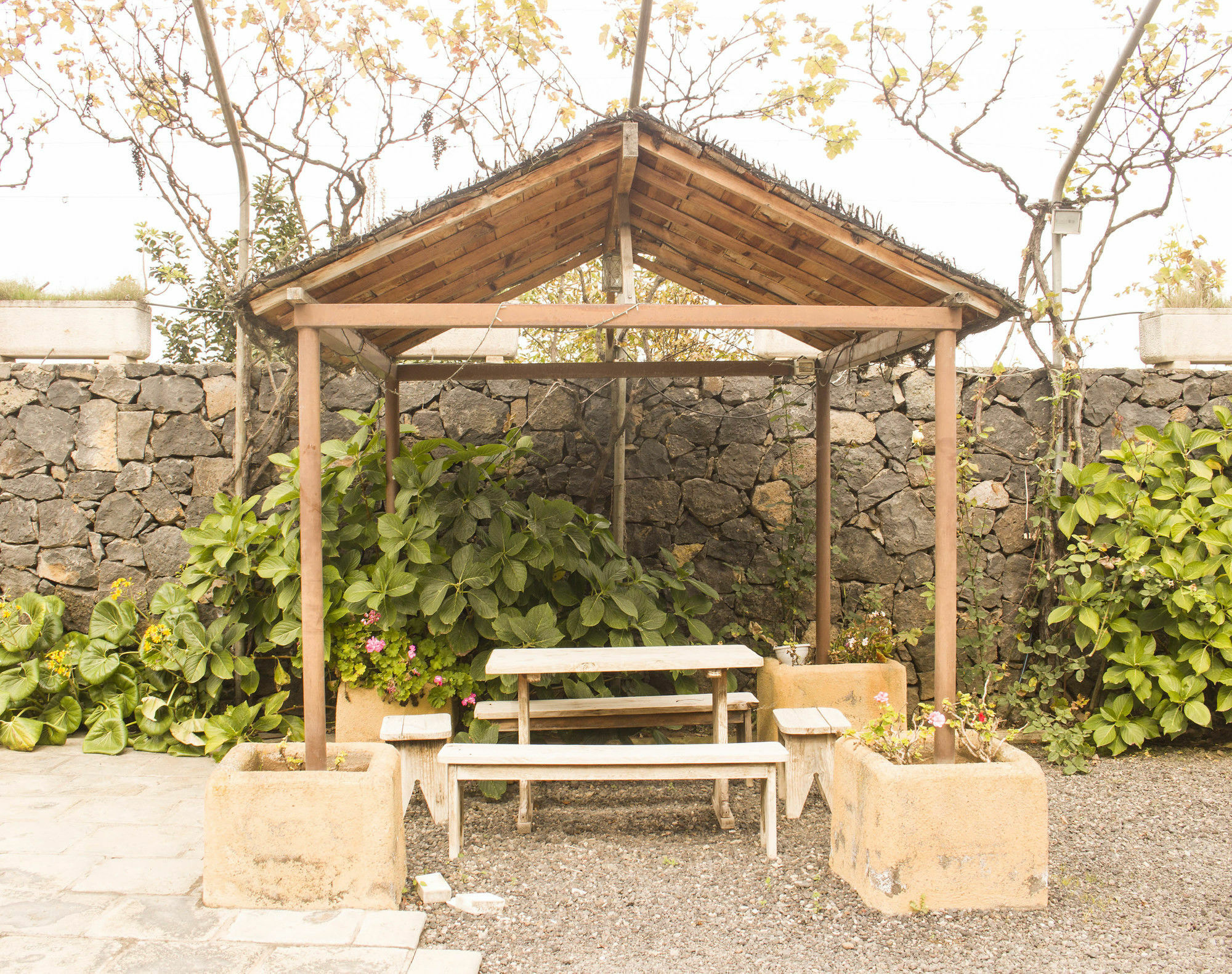 Casa Rural La Tanquera Los Realejos Exteriér fotografie
