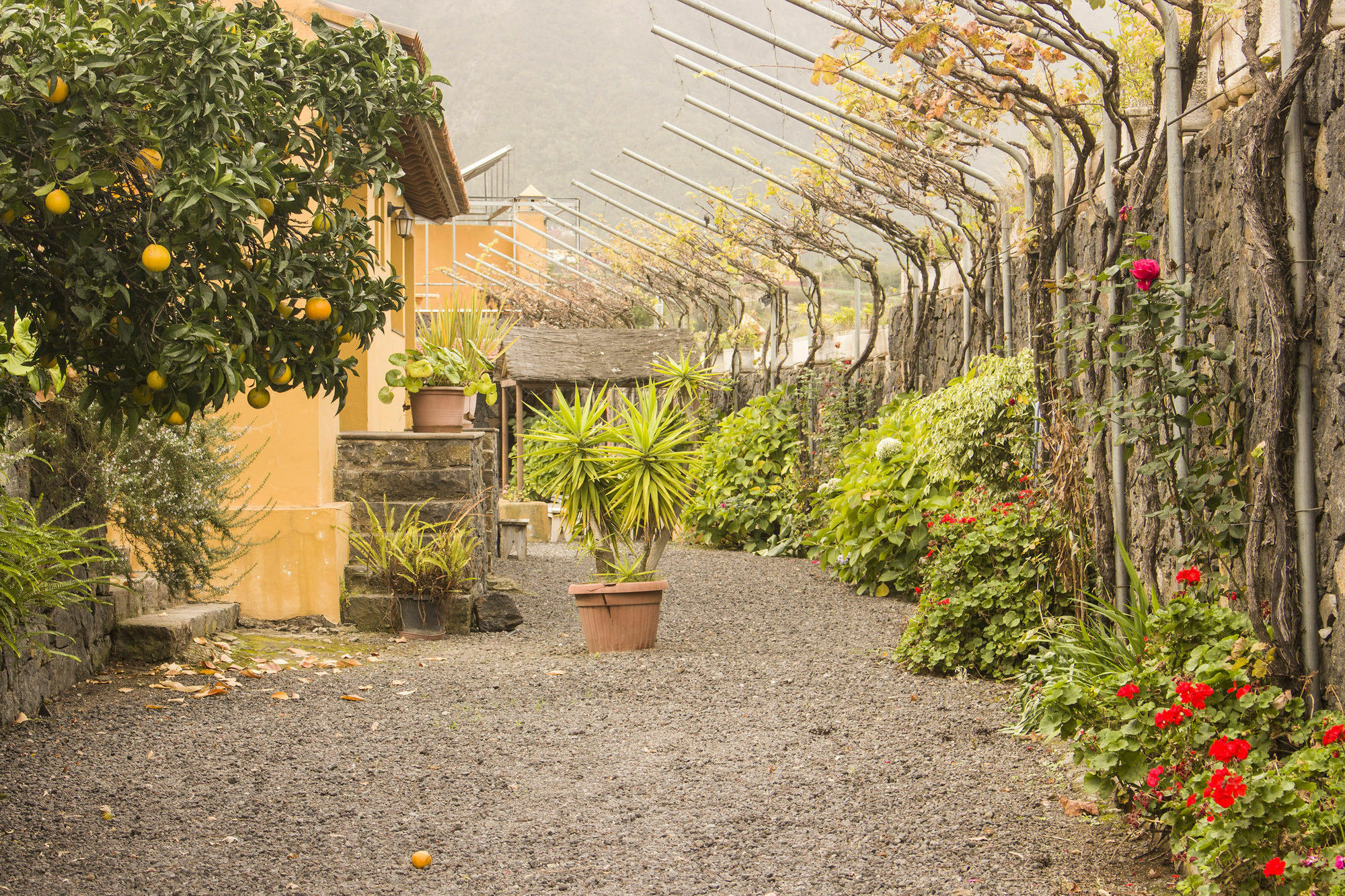 Casa Rural La Tanquera Los Realejos Exteriér fotografie